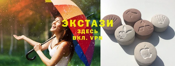 МДПВ Рославль