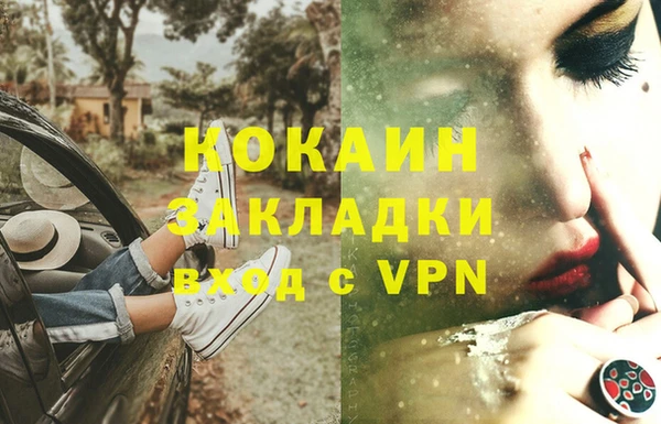 ПСИЛОЦИБИНОВЫЕ ГРИБЫ Арсеньев