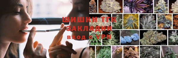 ПСИЛОЦИБИНОВЫЕ ГРИБЫ Арсеньев