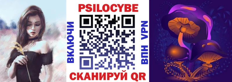 Псилоцибиновые грибы Psilocybe Артёмовск